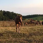 Nyaraló Letniskowe Przy Lesie - 