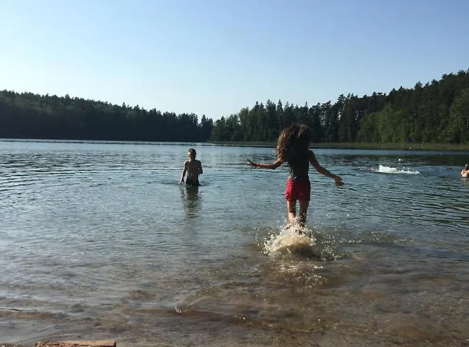 Letniskowe Przy Lesie - 