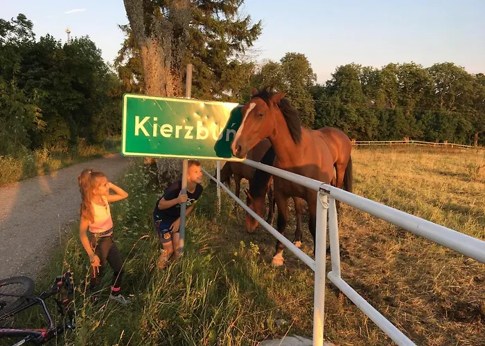 Letniskowe Przy Lesie - 